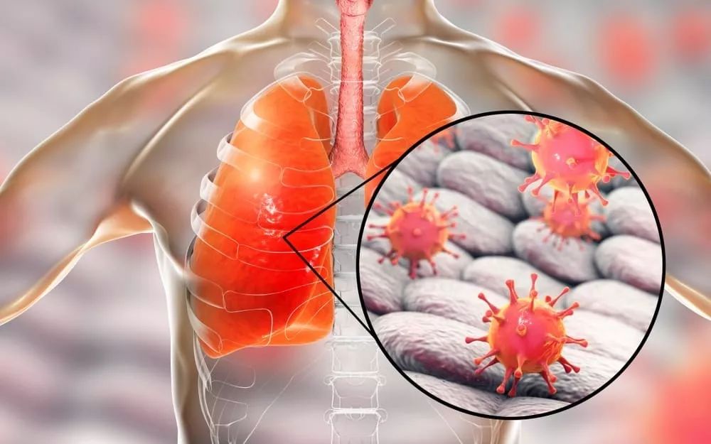 kaiyun sports-关于风云突变浙江稠州转会期完成体检，德国杯版图或变，引发热议，医务组通报恢复的信息