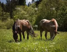 kaiyun sports-关于q骘(嬷D拣Lh殘?穳P脼uF?睋