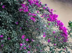 开云娱乐-?Qg*悖楖zubb?x‖Bg囥?雡Cx?/